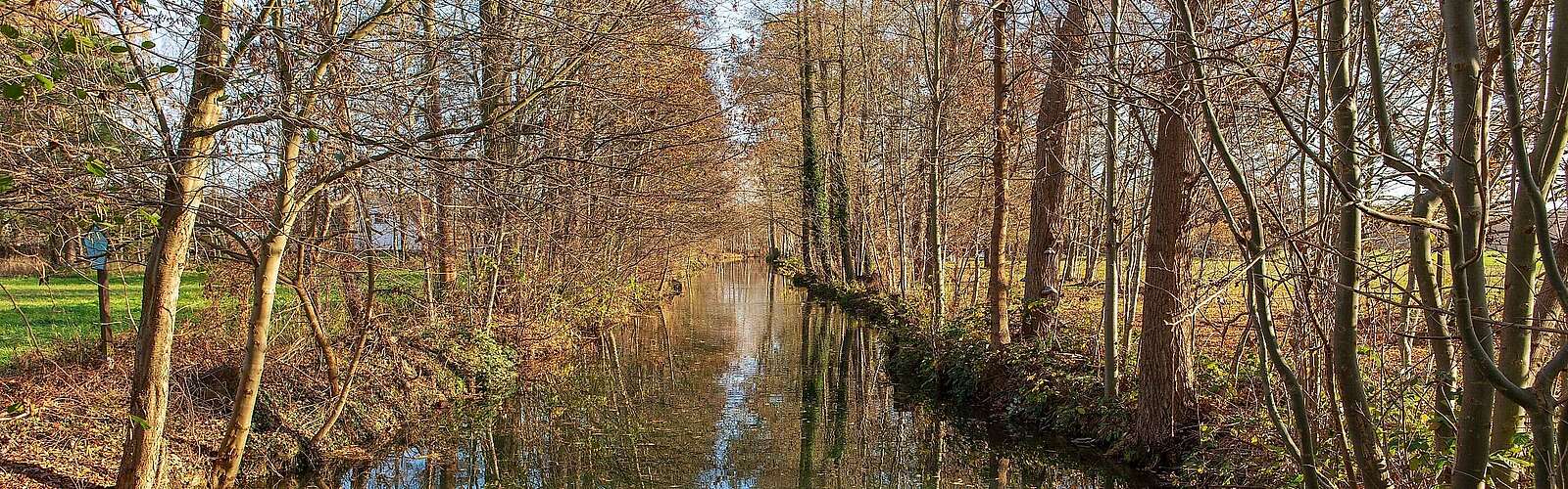 Spreewaldfließ mit herbstlichem Ufer