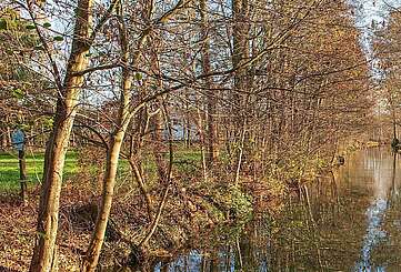 Spreewaldfließ mit herbstlichem Ufer