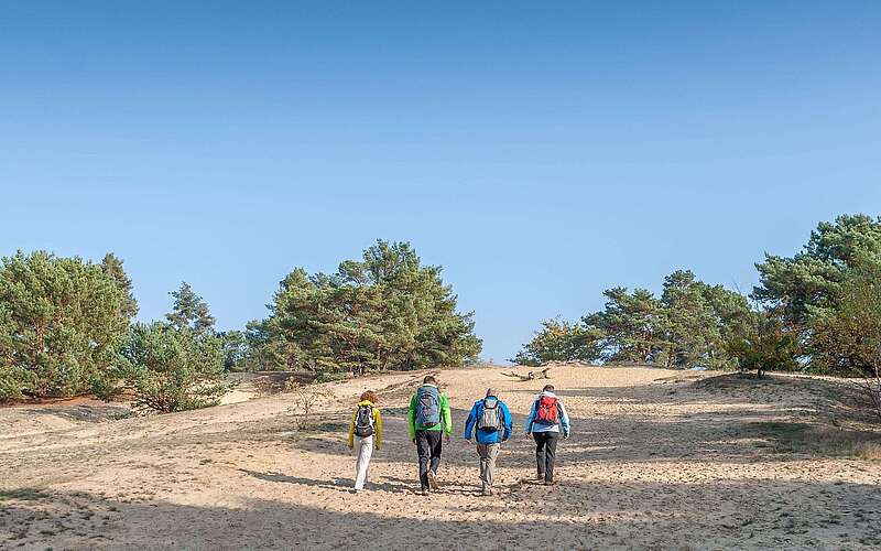 Wanderer auf der Binnendüne bei Storkow