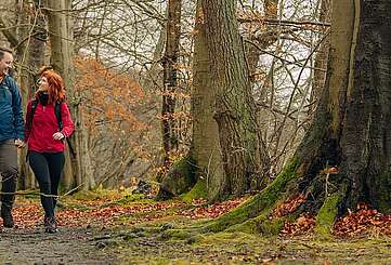 Familienwanderung am Stechlinsee