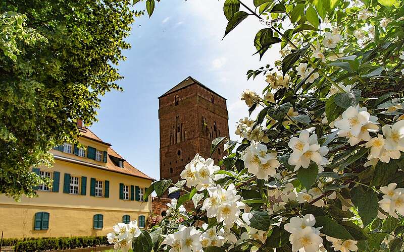Alte Bischofsburg Wittstock/Dosse