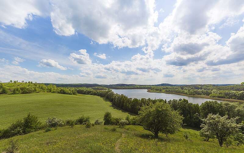 Rummelsberg bei Brodowin