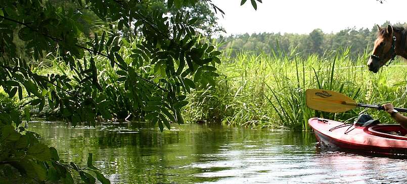 Kanuwanderer auf dem Rheinsberger Rhin