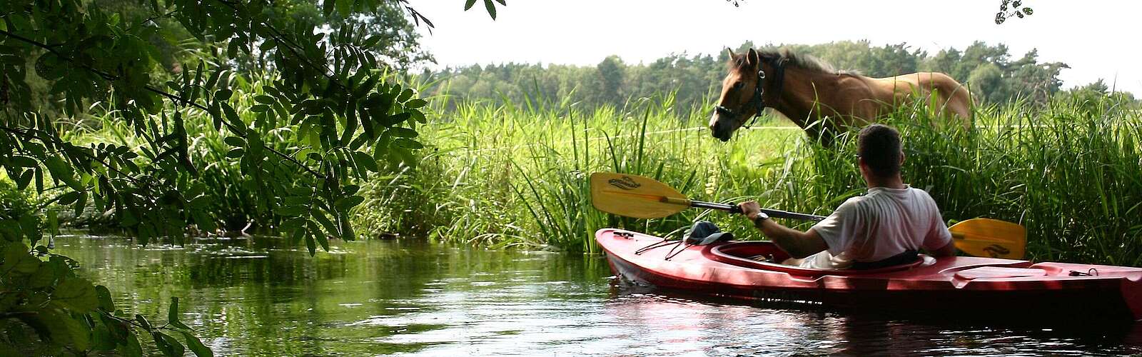 Kanuwanderer auf dem Rheinsberger Rhin