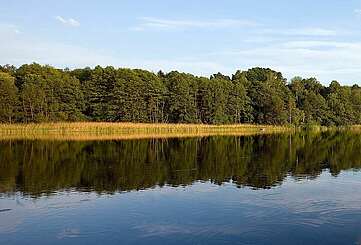 Werbellinsee in der Schorfheide