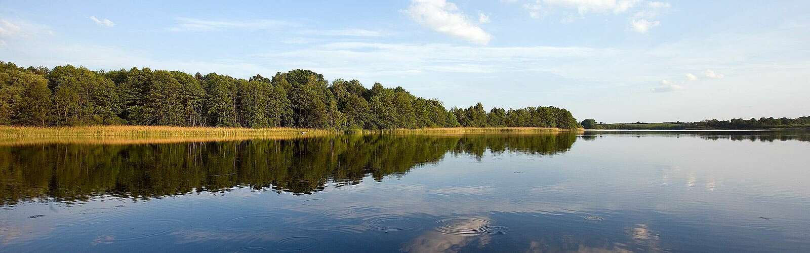 Werbellinsee in der Schorfheide
