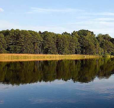 Werbellinsee in der Schorfheide