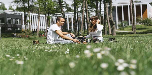 Picknick auf der Wiese