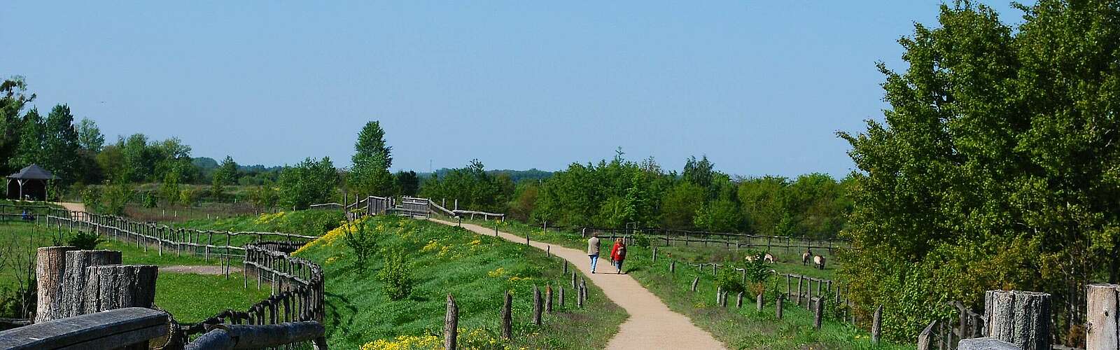 Wanderer auf dem Rundwanderweg durch die Döberitzer Heide