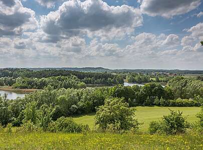 Schorfheide bei Brodowin
