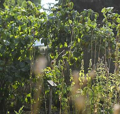 Besucher im Sinnesgarten des NaturParkHauses Stechlin