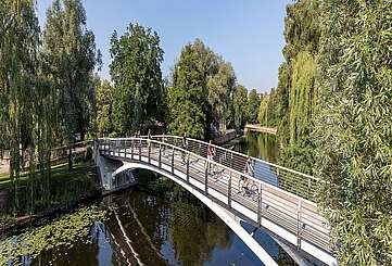 Radfahrerinnen auf dem Havel-Radweg in Potsdam