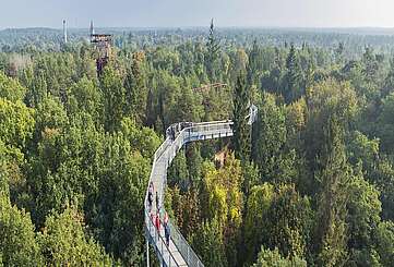 Baumkronenpfad Beelitz-Heilstätten