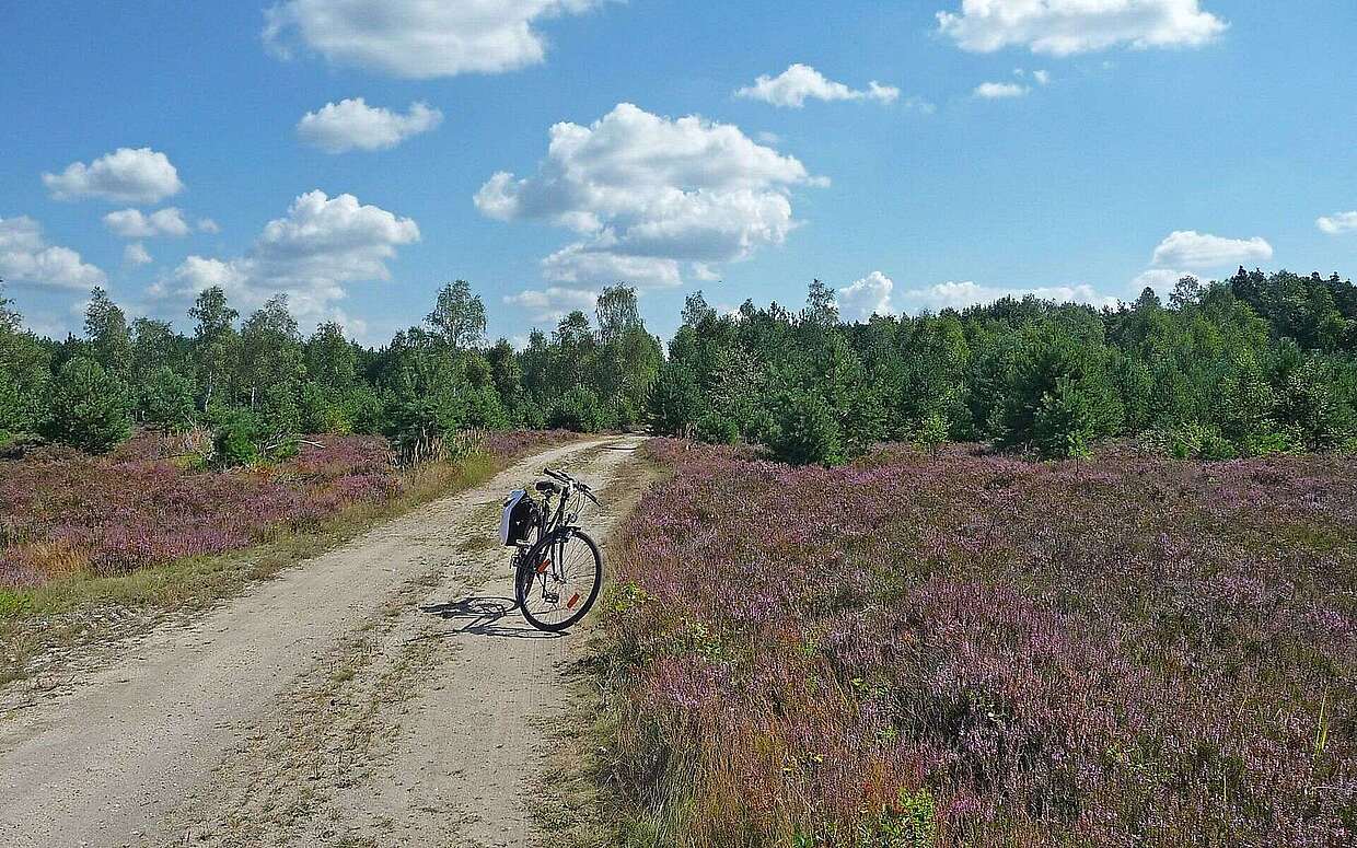 Pause von der Radtour im Naturpark Niederlausitzer Heidelandschaft