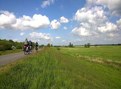 Radfahrer auf dem Oder-Neiße-Radweg