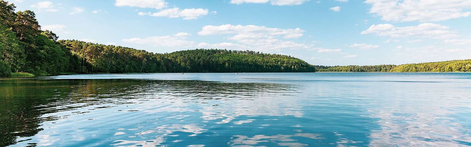 Blick auf den Springsee