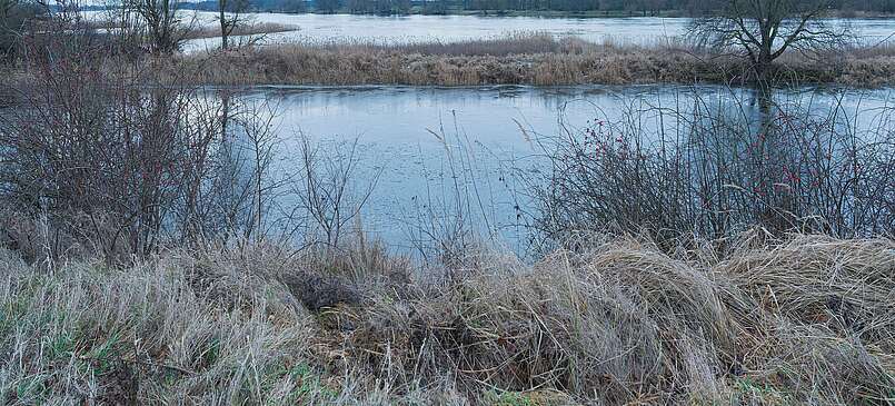 Wanderung durch die Auenwildnis