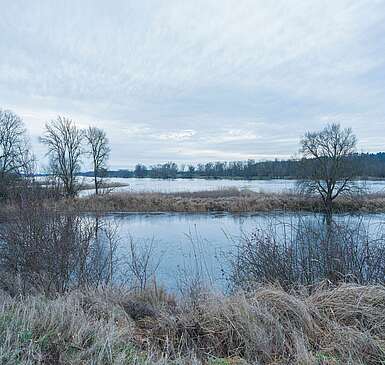 Flusslandschaft Elbe im Winter