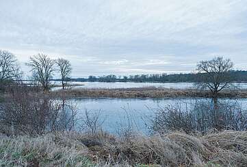 Flusslandschaft Elbe im Winter