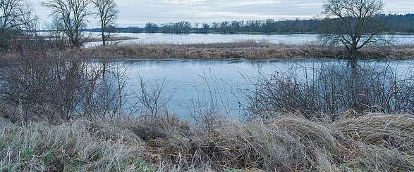 Flusslandschaft Elbe im Winter