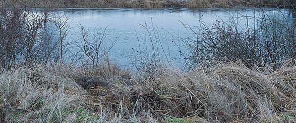 Flusslandschaft Elbe im Winter