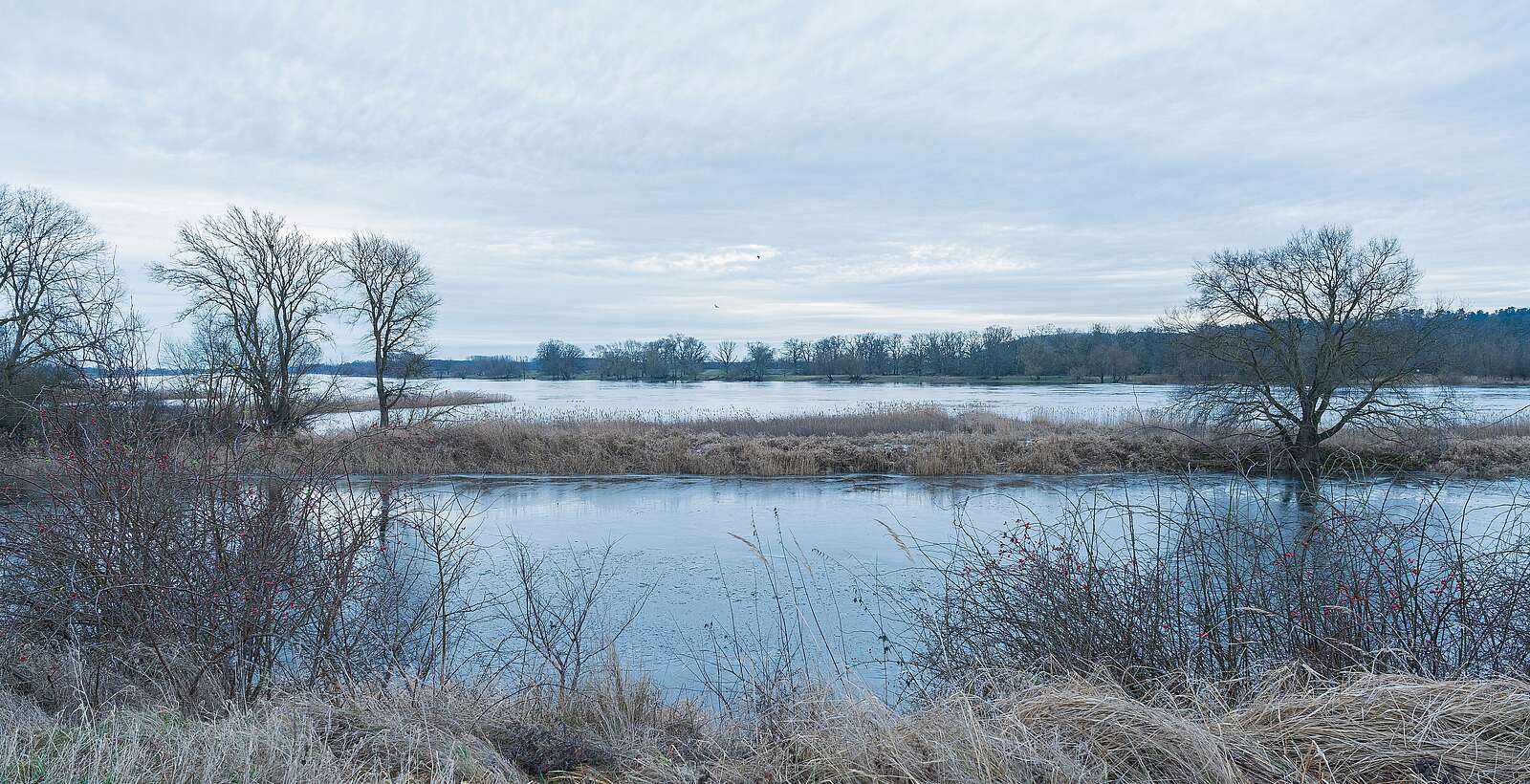 Flusslandschaft Elbe im Winter