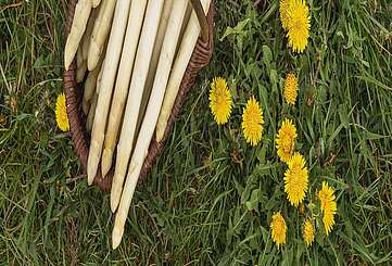 Spargel vom Syringhof in Beelitz