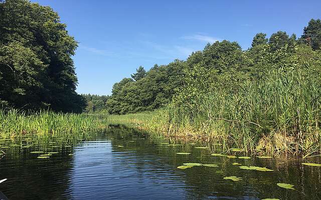 Naturpark Uckermärkische Seen