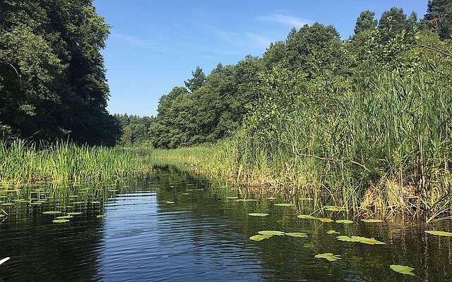 Naturpark Uckermärkische Seen