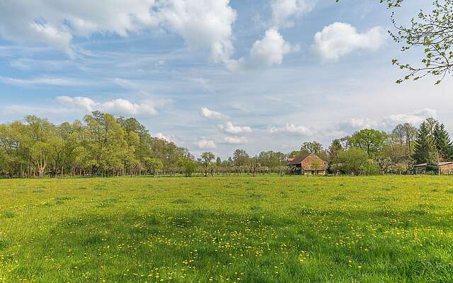 Wiesenlandschaft bei Burg im Spreewald Wiesenlandschaft bei Burg im Spreewald