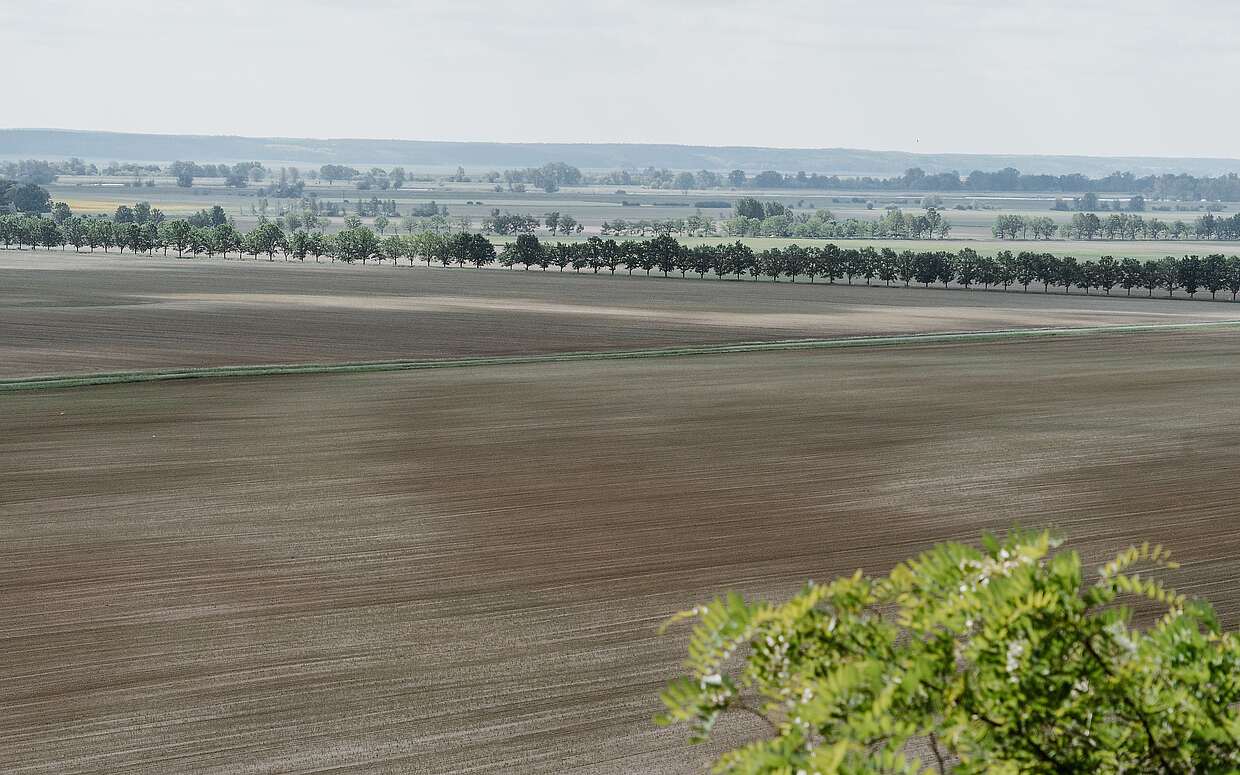Blick vom Reitweiner Sporn ins Oderbruch