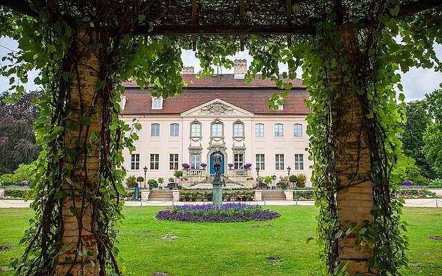 Blick zum Schloss Branitz