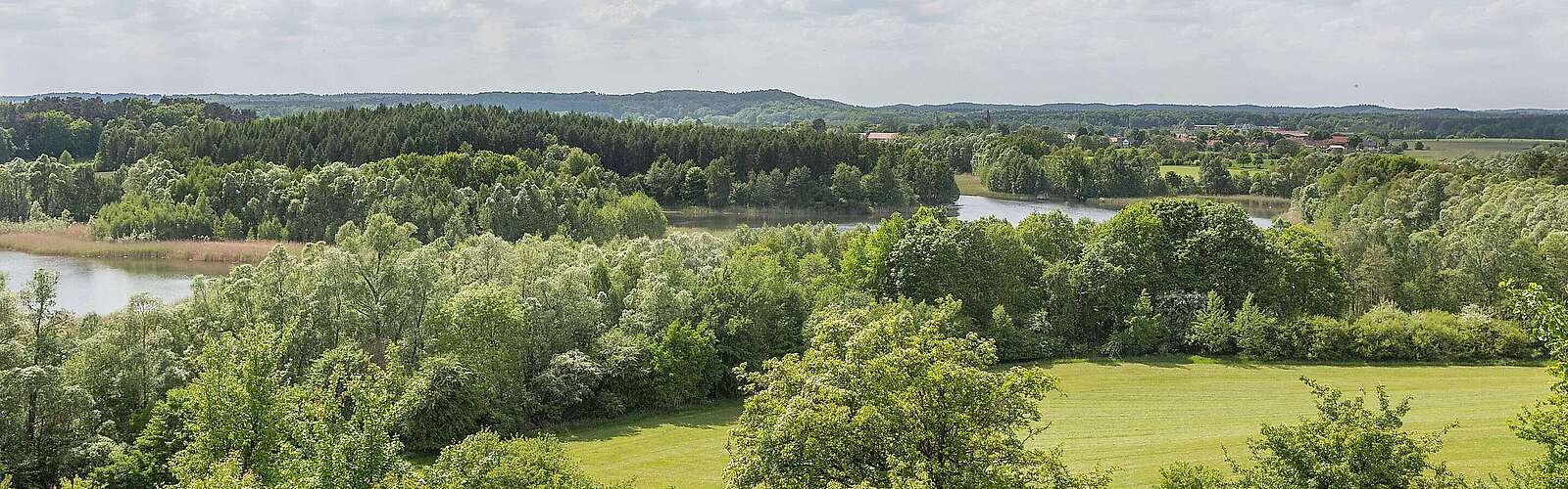 Schorfheide bei Brodowin