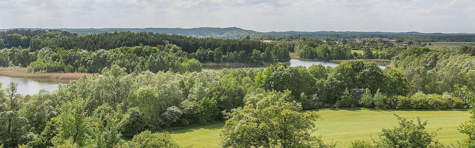 Schorfheide bei Brodowin