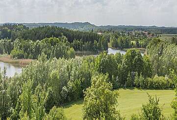 Schorfheide bei Brodowin