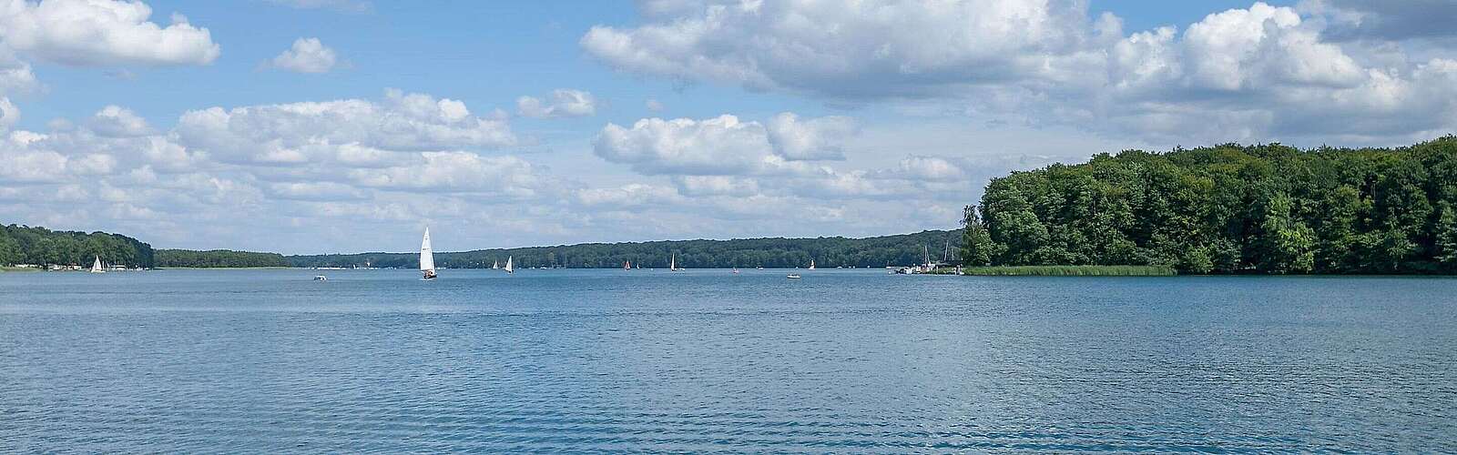 Segelboote auf dem Werbellinsee