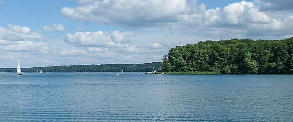 Segelboote auf dem Werbellinsee