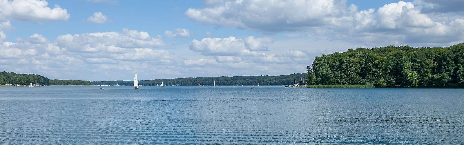 Segelboote auf dem Werbellinsee