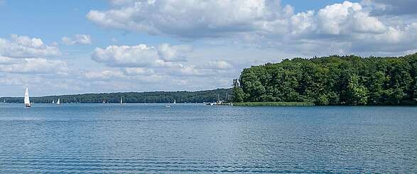 Segelboote auf dem Werbellinsee