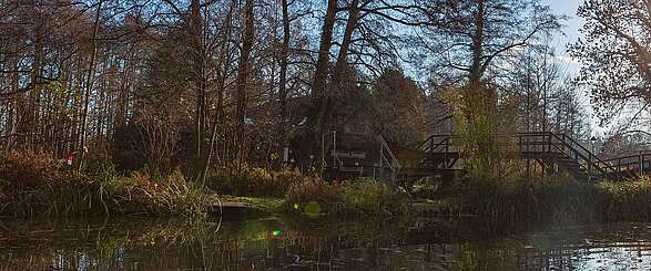 Spreewald im Herbst