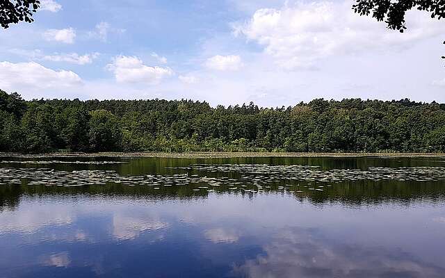 Strehlesee im Naturpark Barnim Strehlesee im Naturpark Barnim