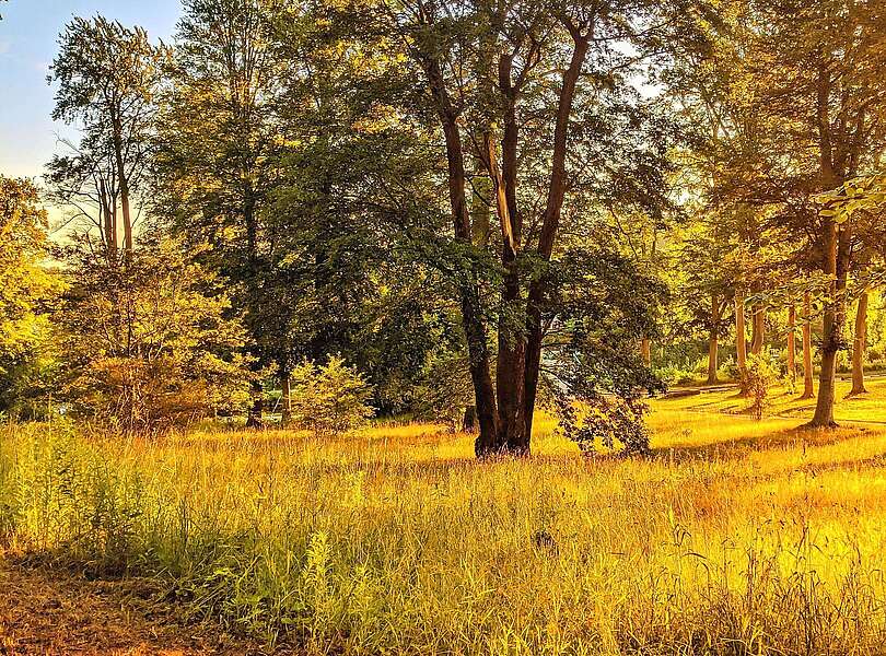 Sonnenaufgang im Park Babelsberg